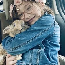 TOP 10 BEST Low Cost Pet Vaccinations in Florissant, MO