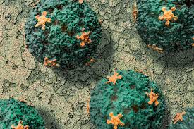 Randomized controlled trial of clemastine fumarate for treatment of experimental rhinovirus colds. Die Gefahrlichsten Viren News At