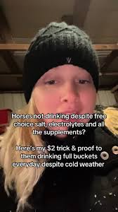 What Makes Horses Stop Drinking Milk