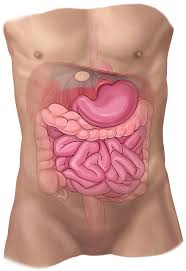 Check spelling or type a new query. Hiatal Hernia Johns Hopkins Medicine