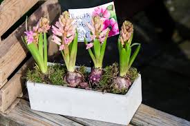 Queen of the suburbs, ealing, united kingdom. My Flower Business Has Taken A New Turn Flowers By Louise