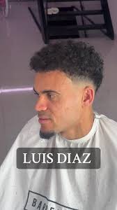 Luizdiaz New Hair