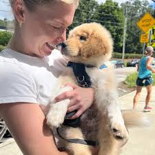 Adopt a Golden Atlanta added a...