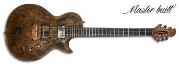 Image result for guitar