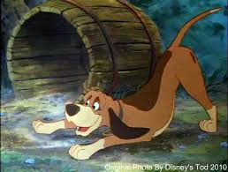 If you fail, then bless your heart. The Fox And The Hound Photo Copper The Fox And The Hound Disney Dogs Cartoon Dog