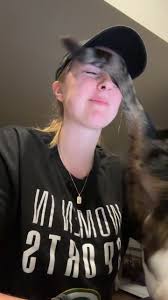 Working from home with a cat be like @Simon Corona 🐱 #catsoftiktok #wfh  #workfromhome #petsoftiktok