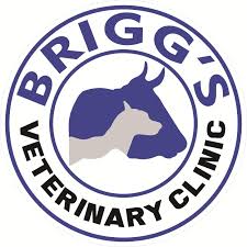 Ark animal hospital offers a compassionate place to bring your pets and animals. Brigg S Veterinary Clinic Veterinarian San Jose Nueva Ecija Facebook 80 Photos