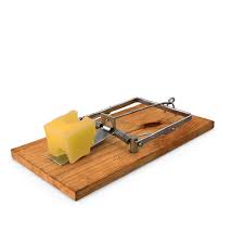 Pin On Mousetrap
