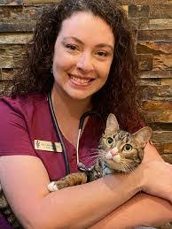 Amanda Bayard's Instagram, Twitter & Facebook