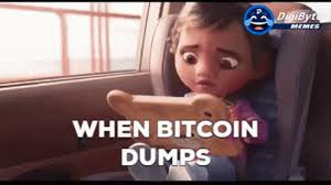 Available on ios & android only. Bitcoin Bitcoin Dump Gif Bitcoin Bitcoindump Dumps Discover Share Gifs