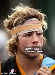 795 The Sandringham Zebras Stock Photos, High-Res Pictures, and Images