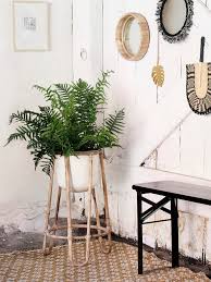 Sur notre table de chevet, sur le bord des fenêtres et directement aux sols pour exposer nos plantes préférées. Ou Trouver Un Cache Pot En Rotin Joli Place