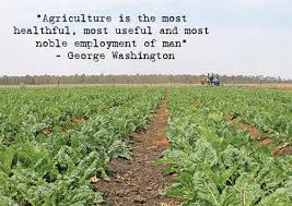 Pin On Farming Inspiration