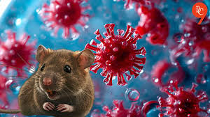 Hantavirus: Rare Infection Linked to ...