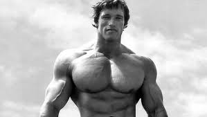 the best principles of arnold