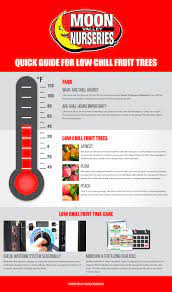 Maybe you would like to learn more about one of these? Quick Guide For Low Chill Fruit Trees Fruit Trees Tree Care Tree Nursery