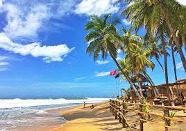 There are so many wonderful things to do! 12 Top Rated Beaches In Sri Lanka Planetware