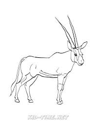 Pets and animals on the farm. Oryx Animals Coloring Book Pages Sheets Kids Time Fun Places To Visit And Free Coloring Book Pages Printables