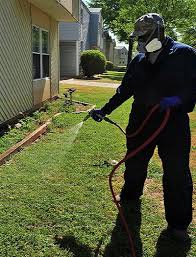 All of our highly skilled pest control technicians are trained in the latest application methods, proper equipment use and maintenance. 5 Tips For Finding The Best Pest Control Company For Your Residence By Green Valley Pest Control Ltd Medium