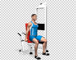 Other people who are also at risk for pulled chest muscles include the elderly and young children. Weight Training Calf Thigh Hip Chest Muscle Physical Fitness Arm Gym Png Klipartz