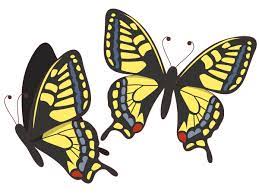 アゲハ蝶（動物/その他一般・装飾）の無料イラスト | 介護アンテナ