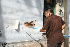 กทม. ลุย Big Cleaning พื้นที่กรุงเทพฯ  เฉลิมพระเกียรติพระบาทสมเด็จพระเจ้าอยู่หัว – สํานักงานประชาสัมพันธ์