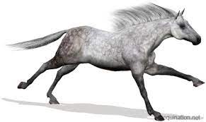 Our realistic genetics system allows you to breed horses which can inherit their colours and genes almost true to life. Equination Net Virtual Horse Racing