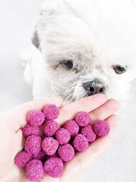 Pink Banana Beetroot Dog Treat Recipe Dog Treats Grain Free Vegan Dog Food Dog Biscuit Recipes