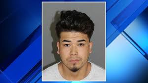 Mother grieves loss of son killed in Wixom hit-and-run as man accused of  hitting him learns charges