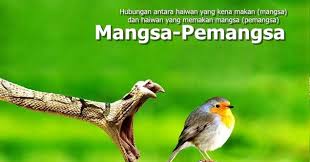 Kepentingan interaksi antara organisma hidup dan persekitaran. Interaksi Antara Organisma Hidup Mangsa Pemangsa Persaingan Simbiosis Komensalisme Mutualisme Dan Parasitisme