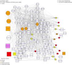 Network Analysis Of Down Syndrome And Sars Cov 2 Identifies Risk And Protective Factors For Covid 19 Scientific Reports