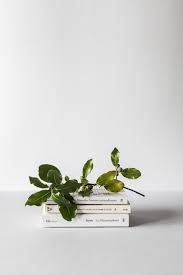 Pin On Minimalist Slow Living Tips Tutorials