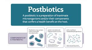 First, let's take a look at a. Beyond Living Microbes Scientists Provide A Definition Of Postbiotics