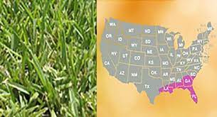 St Augustine Grass St Augustine Grass Map Lawn Fertilizer Warm Season Grass Flower Fertilizer