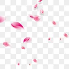 Floating Rose Petals Red Flying Floating Rose Petals Red Rose Petals Falling Petals Png Transparent Clipart Image And Psd File For Free Download Red Rose Petals Rose Petals Red Glitter Background