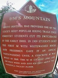 Image result for Passerina montana