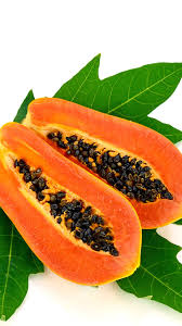 Image result for Carica papaya