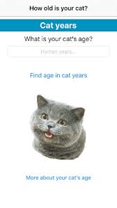 If you have a cat, surely you have considered how old you are and it is not worth applying what is said of the dogs of 1 year of them is 7 of our years. My Cat Years By Pencillus Systems Llc