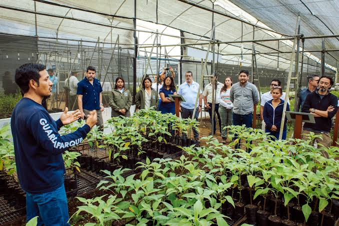 Plant and Adopt a Tree at Ochoa Farm.
