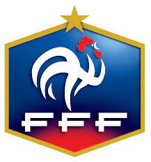 Télécharger logo équipe de foot ligue 1 france l1. France Football Png Free France Football Png Transparent Images 149641 Pngio