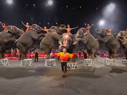 ringling bros circus is gone for good and ken hoffman is