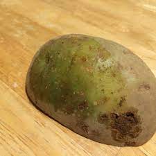 But boiling them (212°f) has no effect. Can You Eat Green Potatoes Eat Or Toss