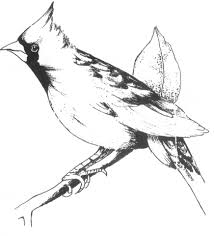 Prospect Heights High School Class Of 1993 Alumni, Brooklyn, NY