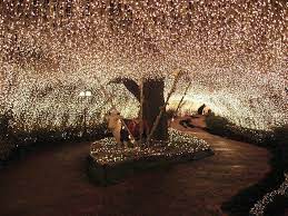 Fairy Lights Flickr Photo Sharing Outdoor Fairy Lights Fairy Lights Wedding Lights