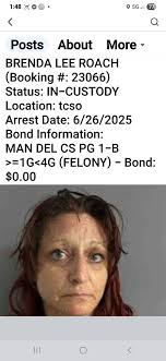 What's REALLY Happening in and Around Trinity County