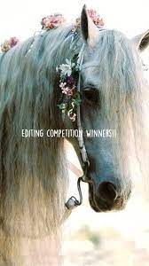 Editing Competition Winners An Immersive Guide By Faith