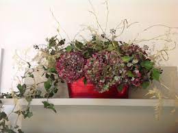 Dried Hydrangea With Ivy And Gold Asparagus The Quince Tree Christmas Decorations British Grown Flowers Dried Hydrangeas Natural Christmas