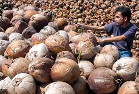 Sebuah pasar raya terkenal akan menjadi premis pertama dihadapkan ke mahkamah mengikut akta kawalan harga dan antipencatutan 2011 kerana menaikkan harga kacang bendi melebihi 50%, 4 bulan lepas. Artikel Mengenai Topik Akta Kawalan Harga Dan Anti Pencatutan 2011 Astro Awani