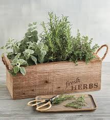 Herb Garden In Wooden Box In 2021 Rustic Herb Herb Garden Boxes Herb Garden In Kitchen