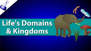 Domains And Kingdoms Of Life Ricochet Science Goes Through The Differences Between The Domains Eukarya Arc Secondary Science High School Science Life Science